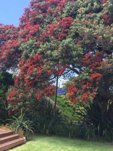 Absolute Waterfront Serenity Near Auckland Clarks Beach Екстериор снимка