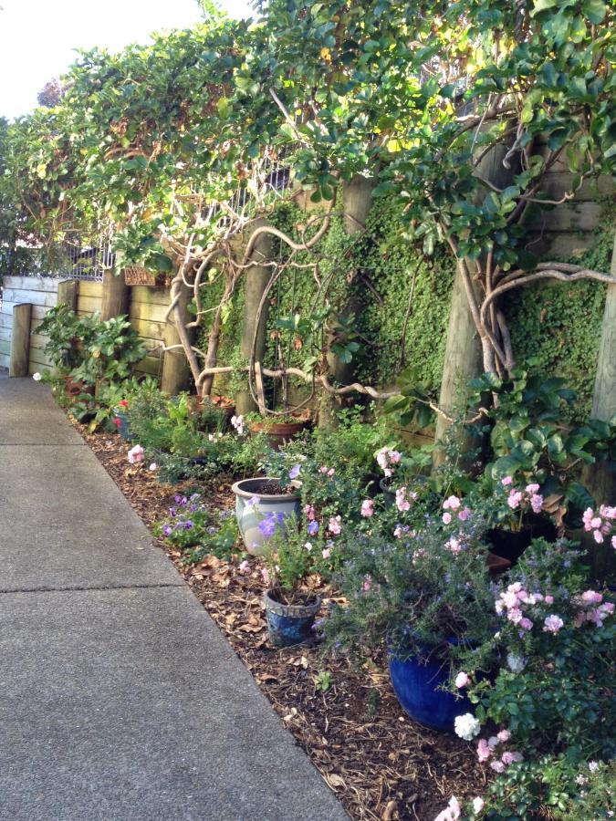 Absolute Waterfront Serenity Near Auckland Clarks Beach Екстериор снимка